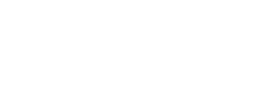 拳願明星格鬥賽logo